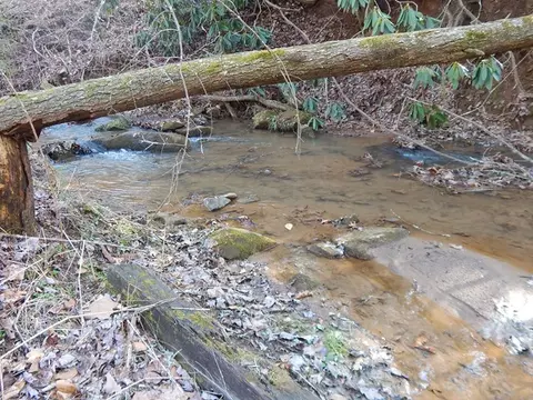 160 Claude Cook Rd, Sylva, NC 28779 photo 3