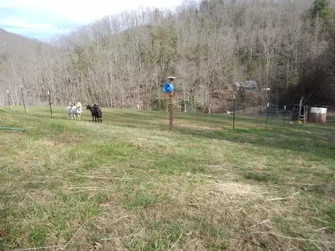160 Claude Cook Rd, Sylva, NC 28779 photo 6