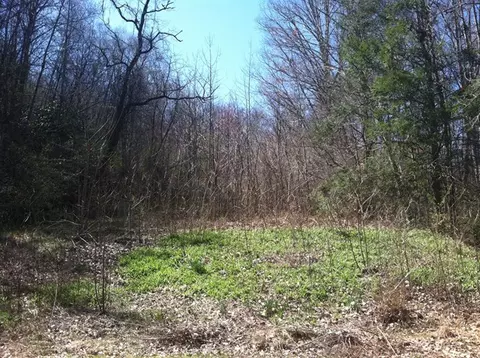 160 Claude Cook Rd, Sylva, NC 28779 photo 14