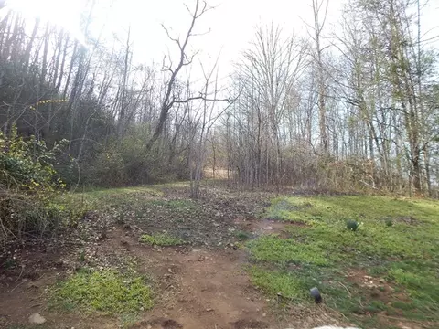 160 Claude Cook Rd, Sylva, NC 28779 photo 30