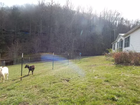 160 Claude Cook Rd, Sylva, NC 28779 photo 7