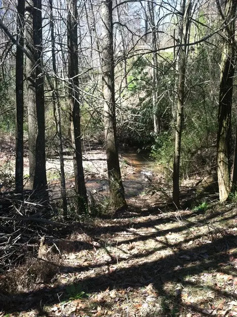 160 Claude Cook Rd, Sylva, NC 28779 photo 20