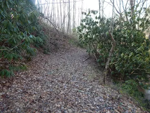 160 Claude Cook Rd, Sylva, NC 28779 photo 26