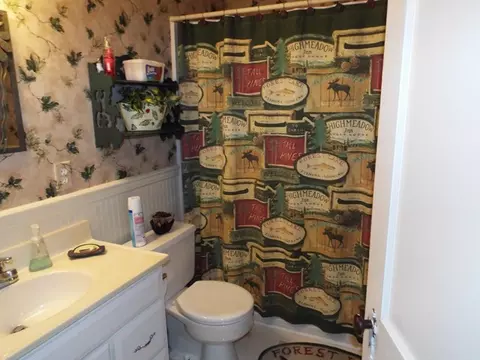 92 E Hemlock St, Dillsboro, NC 28725 photo 6