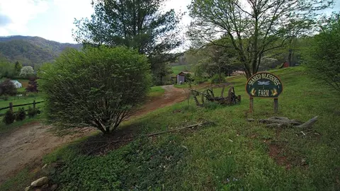 195 Indian Mound Rd, Cullowhee, NC 28723 photo 5
