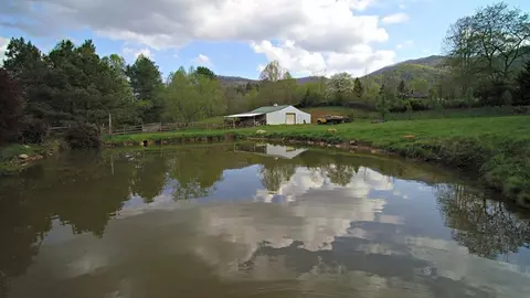 195 Indian Mound Rd, Cullowhee, NC 28723 photo 12