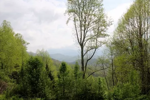 327 Mountain View Rd, Sylva, NC 28779 photo 3