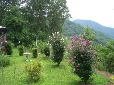 1212 Safari Dr, Sylva, NC 28779 photo 4