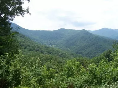1212 Safari Dr, Sylva, NC 28779 photo 3