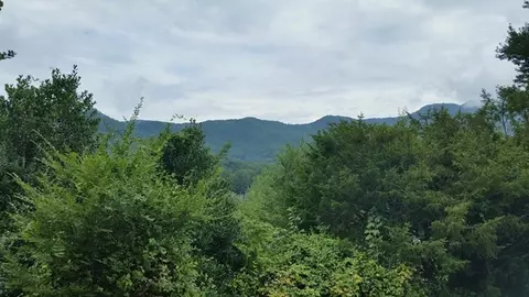 27 Streater Rd, Sylva, NC 28779 photo 8
