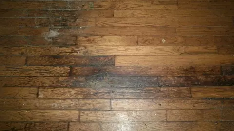 75 Chipmunk Ln, Sapphire, NC 28774 photo 8