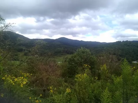 252 Skyview Dr - Canton, Canton, NC 28716 photo 8