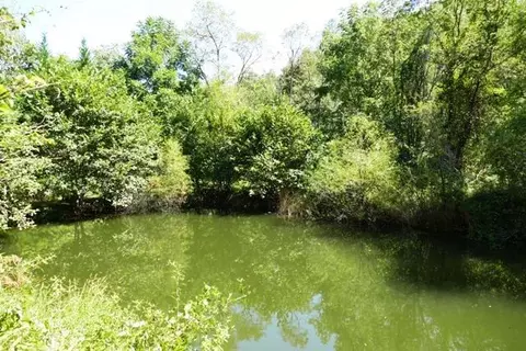 1303 Nickajack Rd, Franklin, NC 28734 photo 6