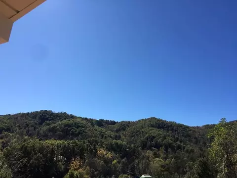 696 Old Settlement, Sylva, NC 28779 photo 11