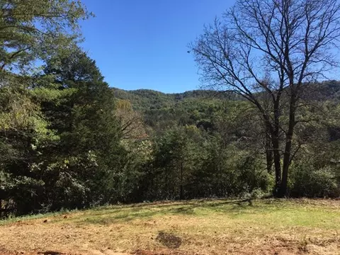 696 Old Settlement, Sylva, NC 28779 photo 12