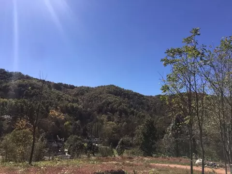 696 Old Settlement, Sylva, NC 28779 photo 13