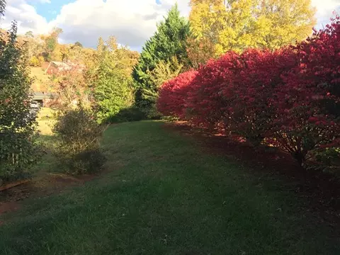 215 Rolling Green Dr, Sylva, NC 28779 photo 4