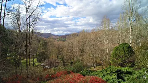 237 Airy Ln, Sylva, NC 28779 photo 36