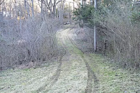 247 Leatherwood Rd, Dillsboro, NC 28725 photo 9