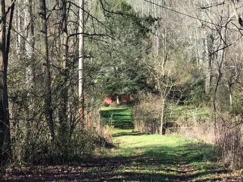247 Leatherwood Rd, Dillsboro, NC 28725 photo 10