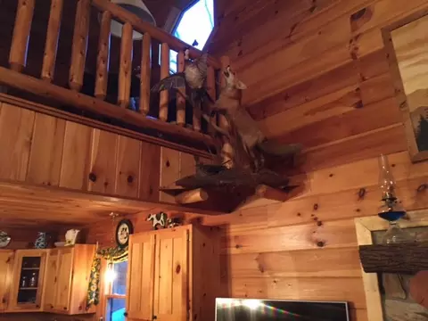141 Yonder Way, Cullowhee, NC 28723 photo 5
