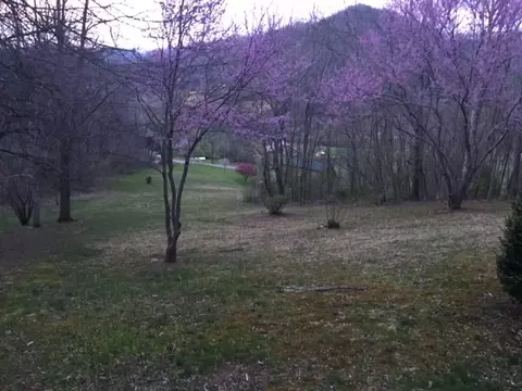 141 Yonder Way, Cullowhee, NC 28723 photo 12