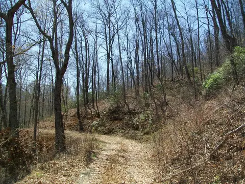 335 Garnet Rd, Sylva, NC 28779 photo 35