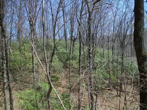 335 Garnet Rd, Sylva, NC 28779 photo 36