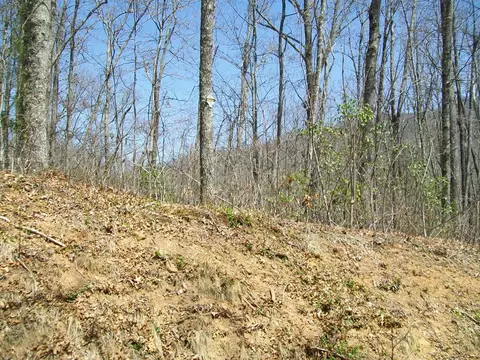 335 Garnet Rd, Sylva, NC 28779 photo 13