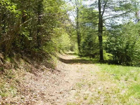 414 Echo Valley Rd, Franklin, NC 28734 photo 31