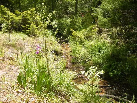 414 Echo Valley Rd, Franklin, NC 28734 photo 26