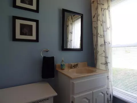 56 E Hemlock St, Dillsboro, NC 28725 photo 20
