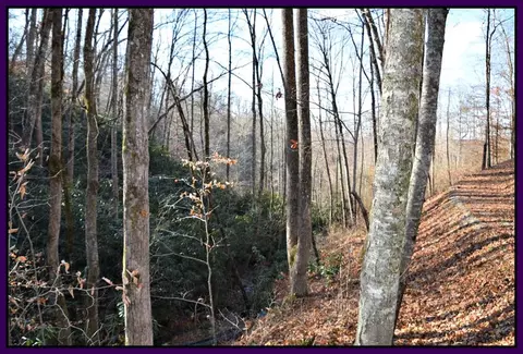1390 Hemlock Falls Rd, Franklin, NC 28734 photo 4