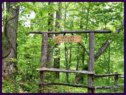1390 Hemlock Falls Rd, Franklin, NC 28734 photo 3