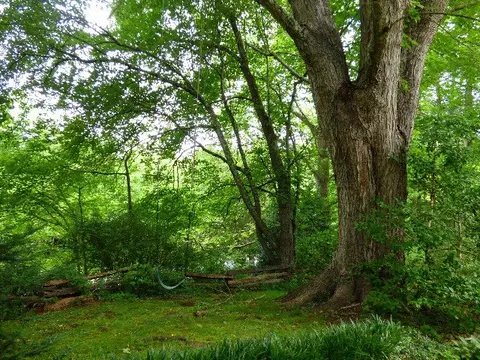 326 Mistletoe Ln, Sylva, NC 28779 photo 5