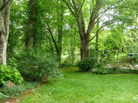 326 Mistletoe Ln, Sylva, NC 28779 photo 3