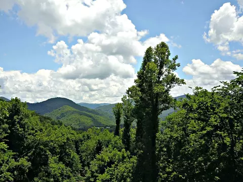 30 Crows Rst, Cullowhee, NC 28723 photo 6