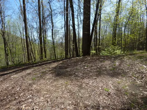 329 Pepsi Hts, Sylva, NC 28779 photo 6