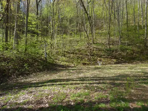 329 Pepsi Hts, Sylva, NC 28779 photo 5