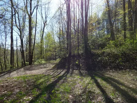 329 Pepsi Hts, Sylva, NC 28779 photo 4