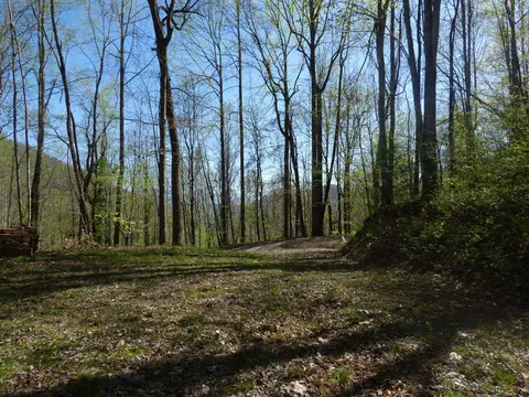 329 Pepsi Hts, Sylva, NC 28779 photo 1