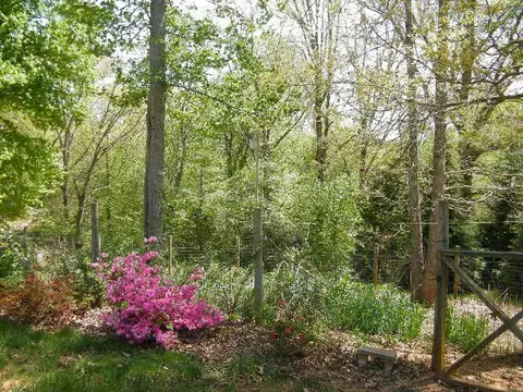 42 Echo High Rd, Franklin, NC 28734 photo 27