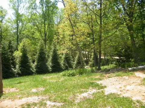 42 Echo High Rd, Franklin, NC 28734 photo 25