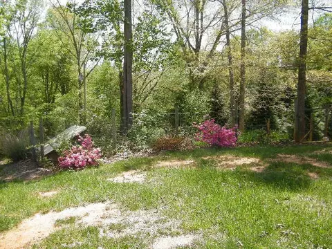 42 Echo High Rd, Franklin, NC 28734 photo 23