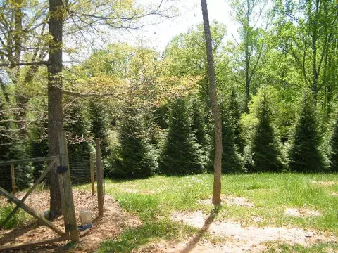 42 Echo High Rd, Franklin, NC 28734 photo 26
