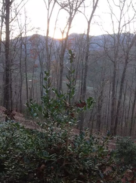 773 Fox Trace Dr, Sylva, NC 28779 photo 23