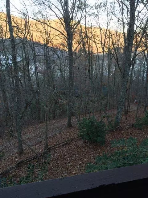773 Fox Trace Dr, Sylva, NC 28779 photo 20