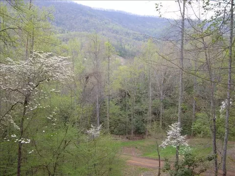 2717 Ruby Mine Rd, Franklin, NC 28734 photo 6