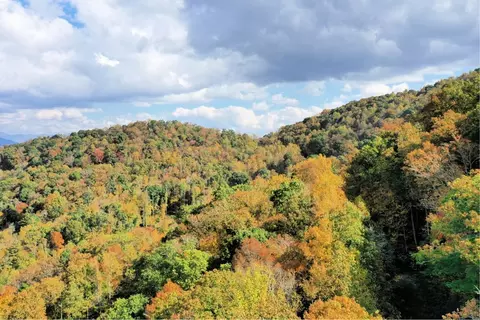 Vl40 Mountain Forest Estates, Sylva, NC 28779 photo 4