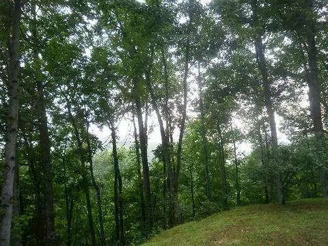 557 Manna Way, Sylva, NC 28779 photo 10